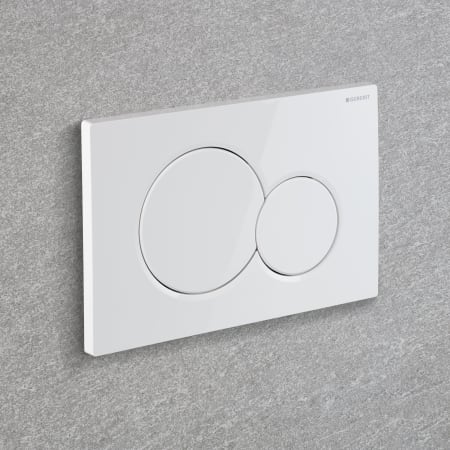 Geberit Sigma01 Kumanda Paneli